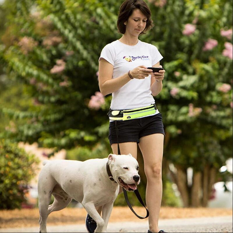 PawLuxe No-Pull Hands-Free Dog Leash