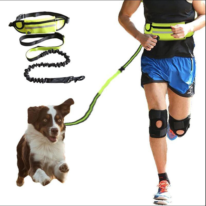 PawLuxe No-Pull Hands-Free Dog Leash